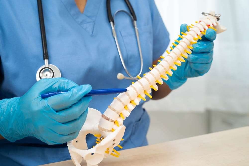 M&eacute;dico con guantes azules se&ntilde;alando un modelo de columna vertebral